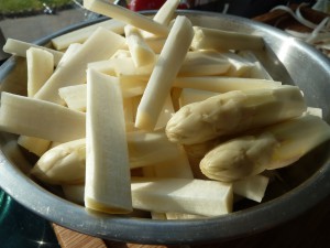 spargel_1