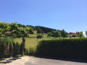 Etxebarri_Victor_Arguinzoniz_Atxondo_Spanien_2