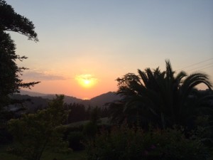 Restaurante_Azkue_Getaria_Spanien_1