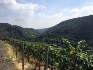 Paul_Schumacher_Marienthal_Deutschland_7