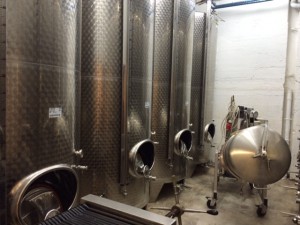 Weingut_Matthias_Mueller_Spay_Mittelrhein_ Deutschland_4