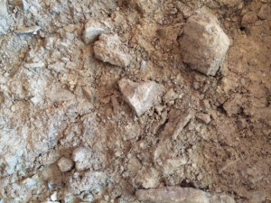 Weingut_Matthias_Mueller_Spay_Mittelrhein_ Deutschland_5