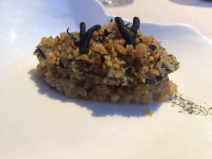 Annua_San_Vicente_de_la_Barquera_Spanien_10