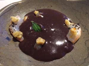 Annua_San_Vicente_de_la_Barquera_Spanien_12