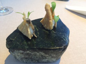 Annua_San_Vicente_de_la_Barquera_Spanien_3