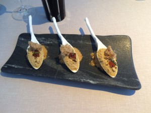 Annua_San_Vicente_de_la_Barquera_Spanien_9