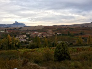 Bodega_Roberto_Olivan_Vinastre_Rioja_Spanien_1