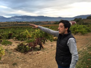 Bodega_Roberto_Olivan_Vinastre_Rioja_Spanien_3
