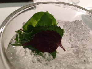 Mugaritz_Errenteria_Spanien_5