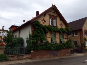 Weingut_Bernhard_Koch_Hainfeld_Pfalz_Deutschland_2