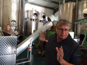 Weingut_Bernhard_Koch_Hainfeld_Pfalz_Deutschland_4