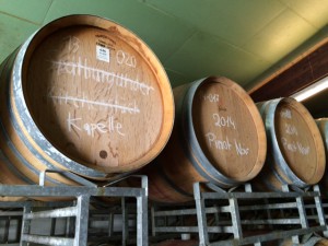 Weingut_Bernhard_Koch_Hainfeld_Pfalz_Deutschland_6