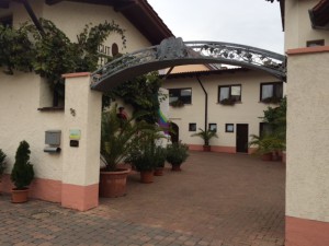 Weingut_Flick_Bechtolsheim_Rheinhessen_Deutschland_1