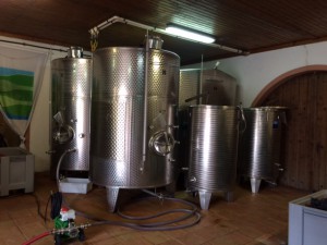 Weingut_Flick_Bechtolsheim_Rheinhessen_Deutschland_2