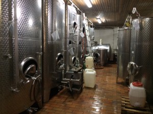 Weingut_Flick_Bechtolsheim_Rheinhessen_Deutschland_4