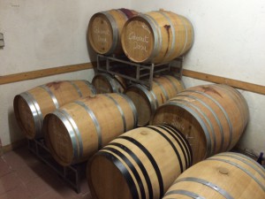 Weingut_Flick_Bechtolsheim_Rheinhessen_Deutschland_7