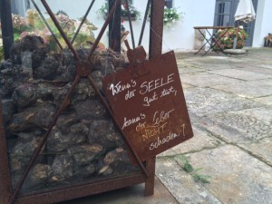 Weingut_Odinstal_Wachenheim_Pfalz_Deutschland_2