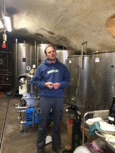 Weingut_Odinstal_Wachenheim_Pfalz_Deutschland_4