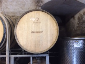 Weingut_Odinstal_Wachenheim_Pfalz_Deutschland_5