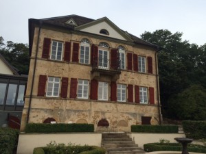 Weingut_Odinstal_Wachenheim_Pfalz_Deutschland_6