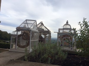Weingut_Odinstal_Wachenheim_Pfalz_Deutschland_7