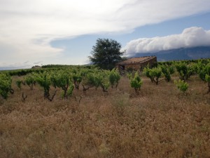 roberto_olivan_tentenublo_rioja_2