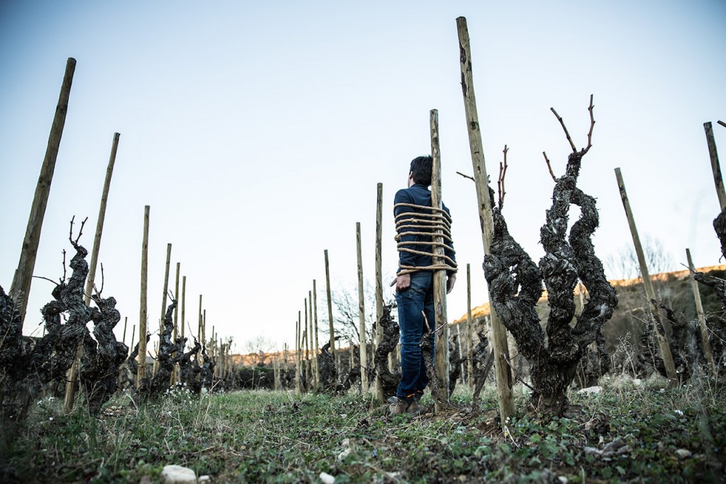 roberto_olivan_tentenublo_rioja_3