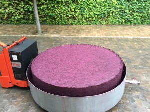 tresterkuchen_3