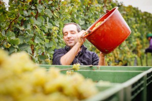 Frank_Spiegel_zum-Jahrgang_2005_in_seinem_Weingut_2