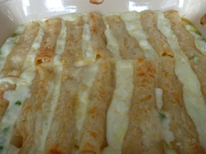kuerbis_canneloni_8