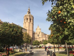 Pico_Fino_Valencia_Spanien_9