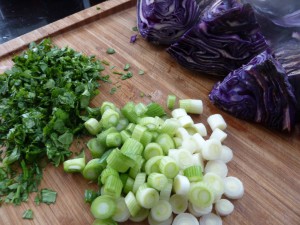 rotkohlsalat_5