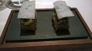 franzen_stockholm_13