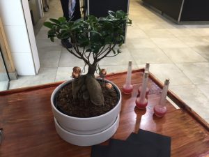 Azurmendi_Larrabetzu_Spanien_4