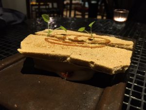 hoja_santa_barcelona_spanien_34