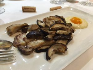 kaia_kaipe_getaria_spanien_5