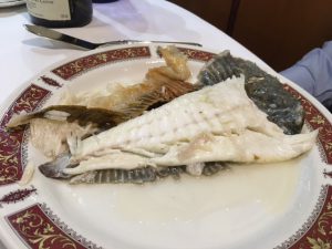 kaia_kaipe_getaria_spanien_6