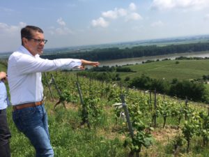 Kuehling-Gillot_Battenfeld_Spanier_Rheinhessen_7