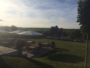 weinhof_dietrich_grosskarlbach_Deutschland_2
