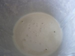 weisse_salmorejo_5