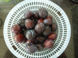 pflaumenkuchen_3