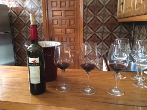 Abel_Mendoza_San_Vicente_de_la_Sonsierra_Rioja_Spanien_3