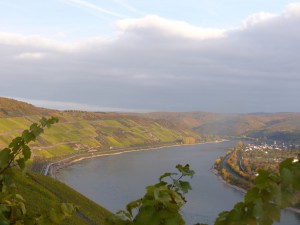 Weinernte_2015_bei_Matthias_Mueller am Mittelrhein_3
