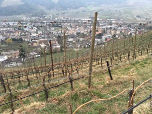 falkenstein_naturns_3