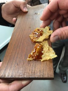 Mugaritz_Errenteria_2