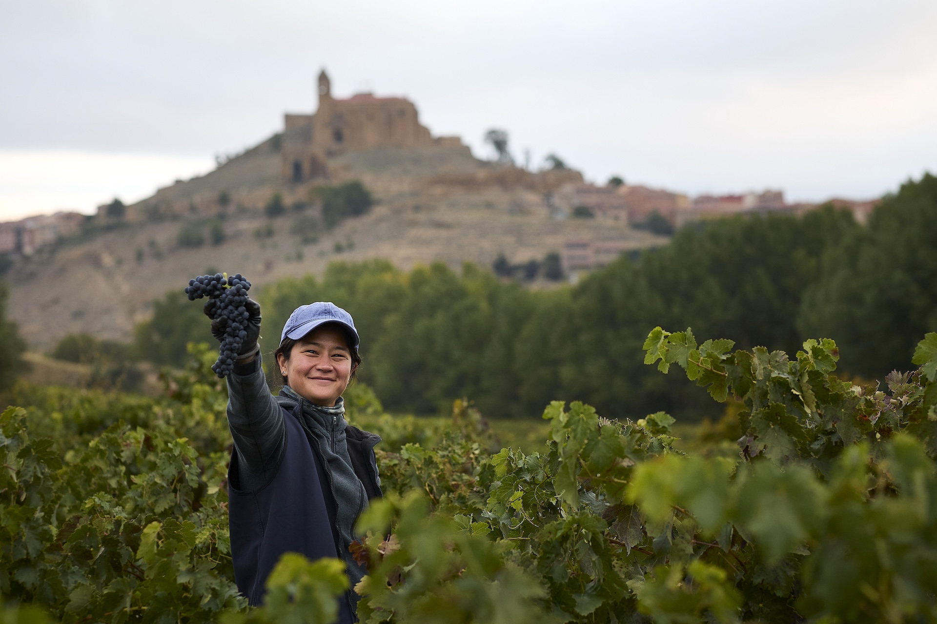 Winzerin Jade Gross hält bei der Handlese eine Tempranillo-Traube in die Höhe – im Hintergrund der Burgberg von San Vicente de la Sonsierra, Rioja Alta